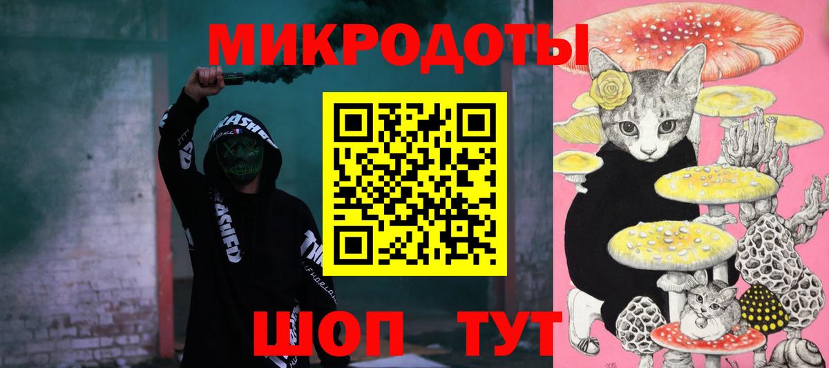 Псилоцибиновые грибы Psilocybine cubensis Кизляр