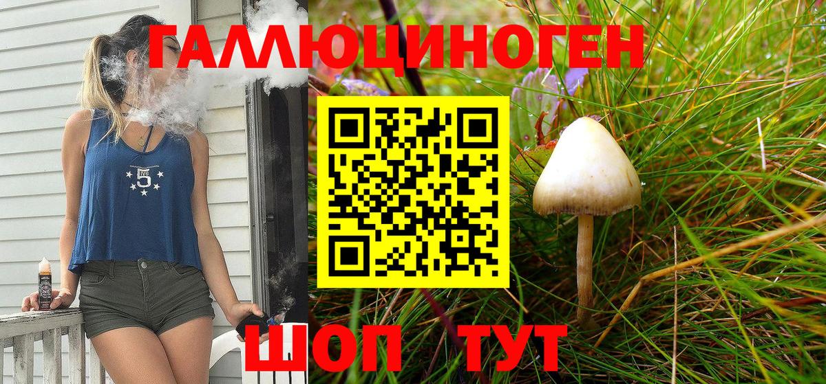Галлюциногенные грибы Cubensis  Псилоцибиновые грибы MAGIC MUSHROOMS  Кизляр  Вход с VPN 